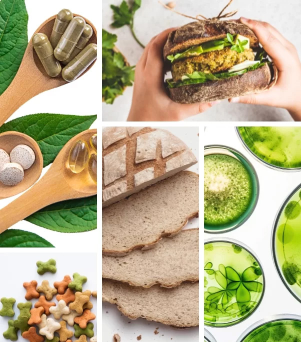 Bio-Ingredients